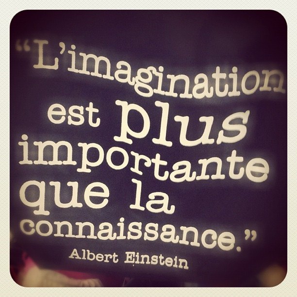 Image Proverbe :  L'imagination est plus importante que la connaissance. ...