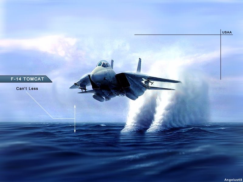 Avions militaires F14-Tomcat
