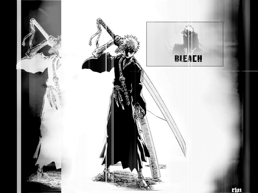 Bleach samourai 2