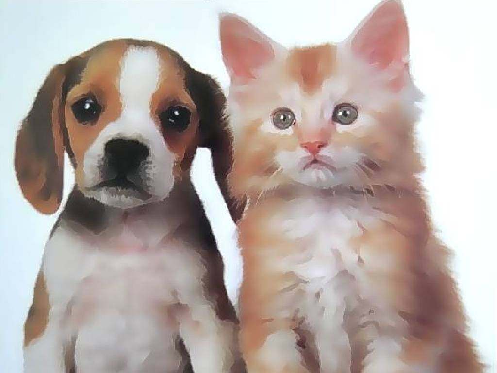 Chats chat et chien