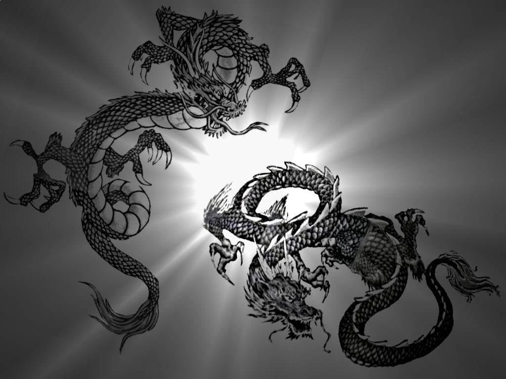 Creatures Dragons beaux dragons sur fond etoilé