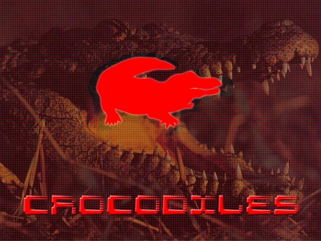 Crocodiles et Alligators Croco