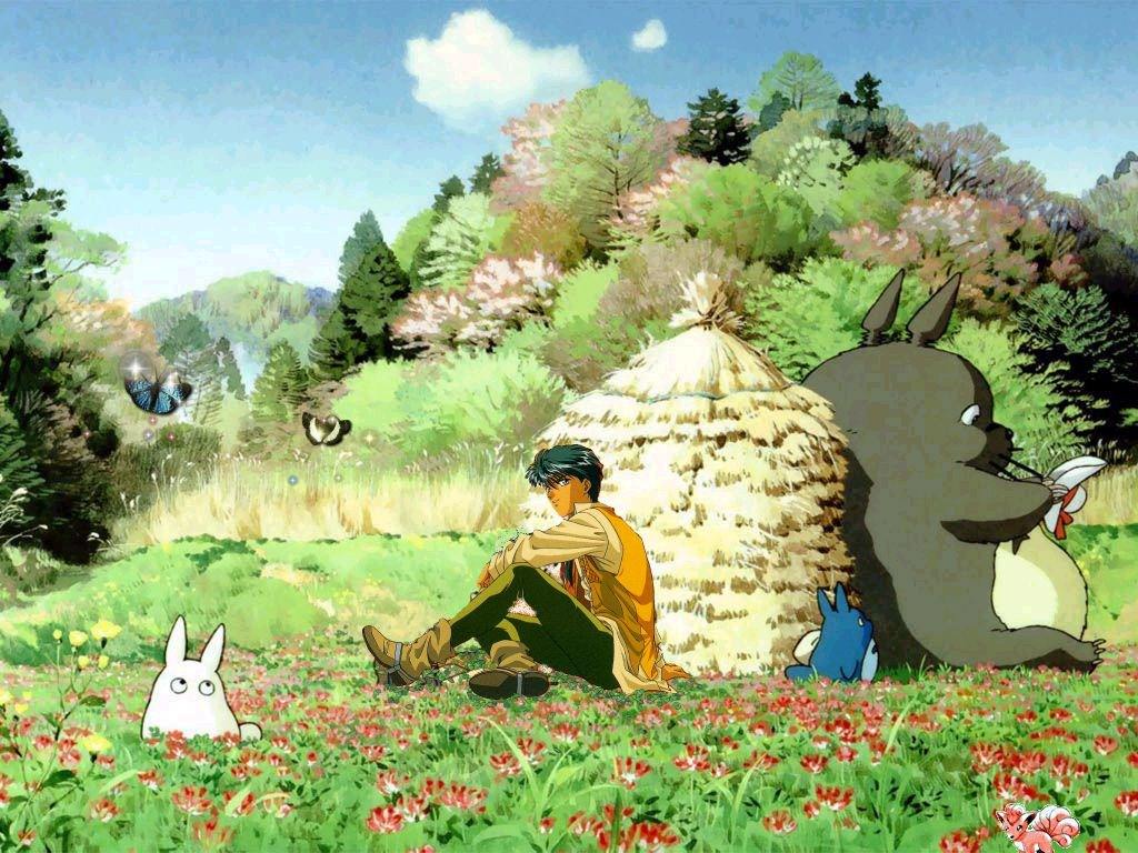 Divers et Assortiment Tamahomé & Totoro