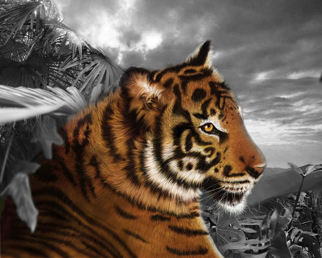 Tigres Tigre