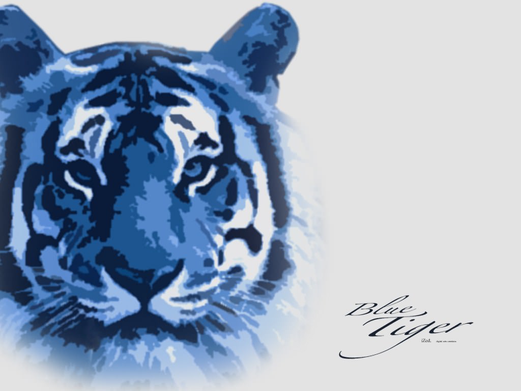 Tigres Blue Tiger