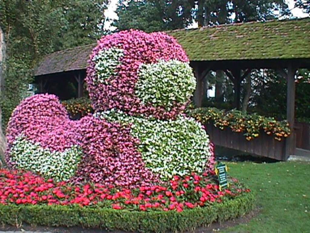 Fleurs Europa Park (Allemagne)