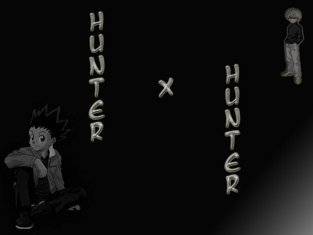 Hunter x Hunter kirua et gon