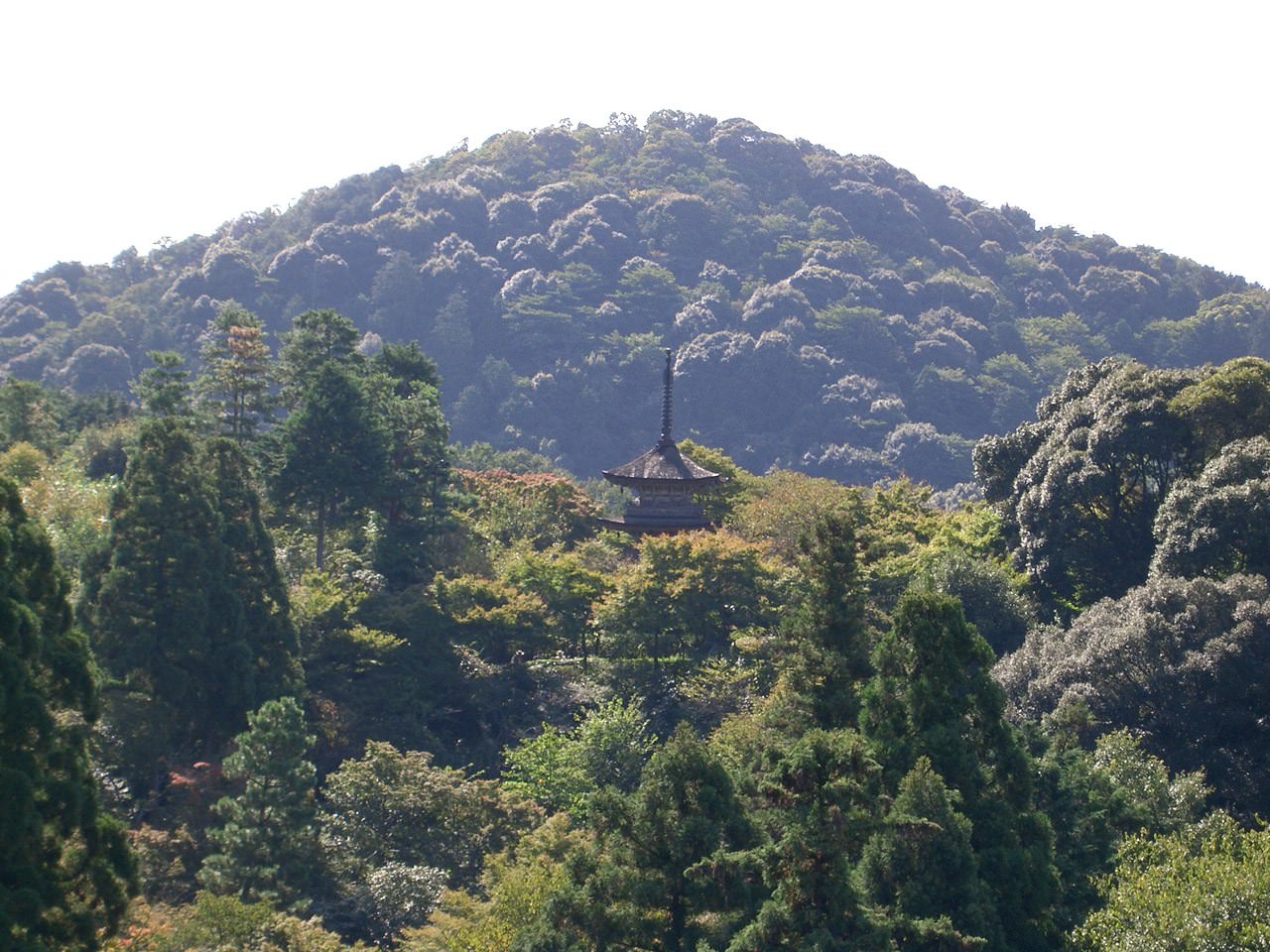 Japon Temple in Kyoto