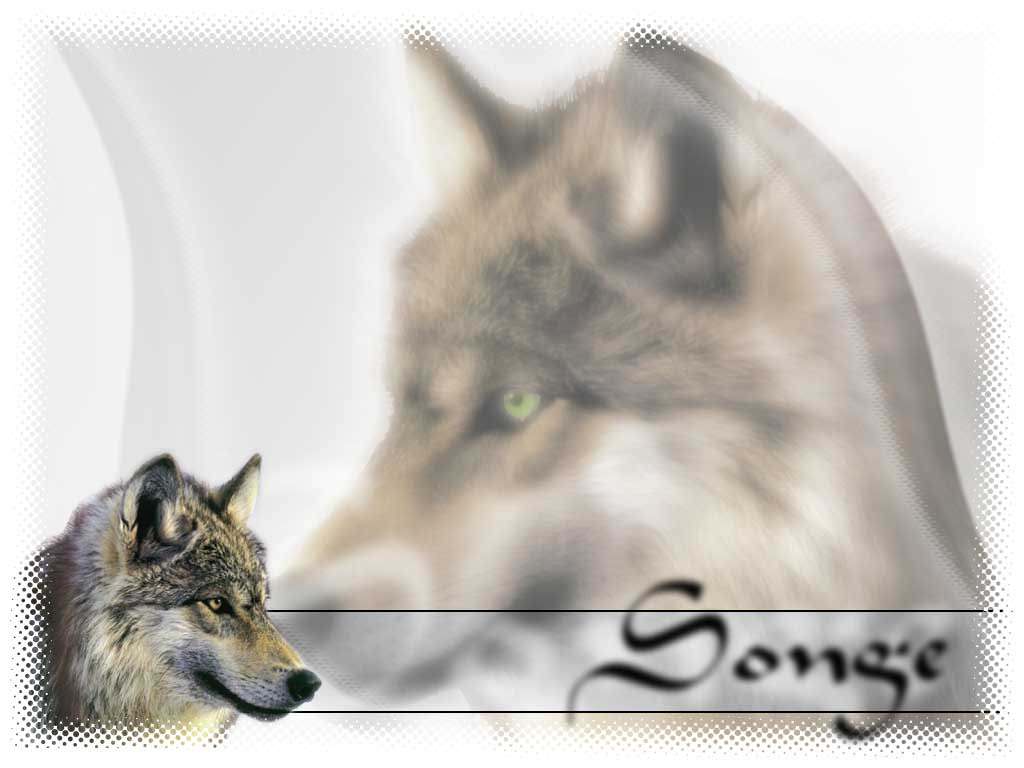 Loups Songe