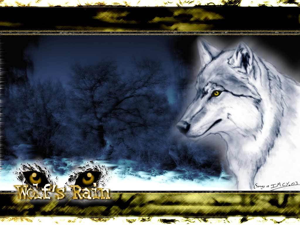 Loups Wolf's rain