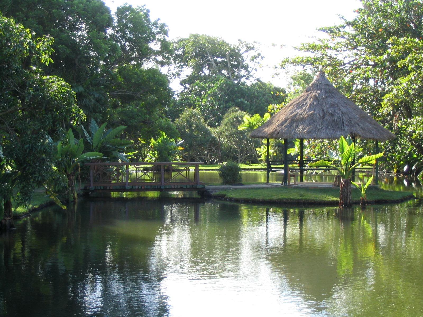 Parcs et Jardins Ile Maurice - le jardin de Pamplemousse