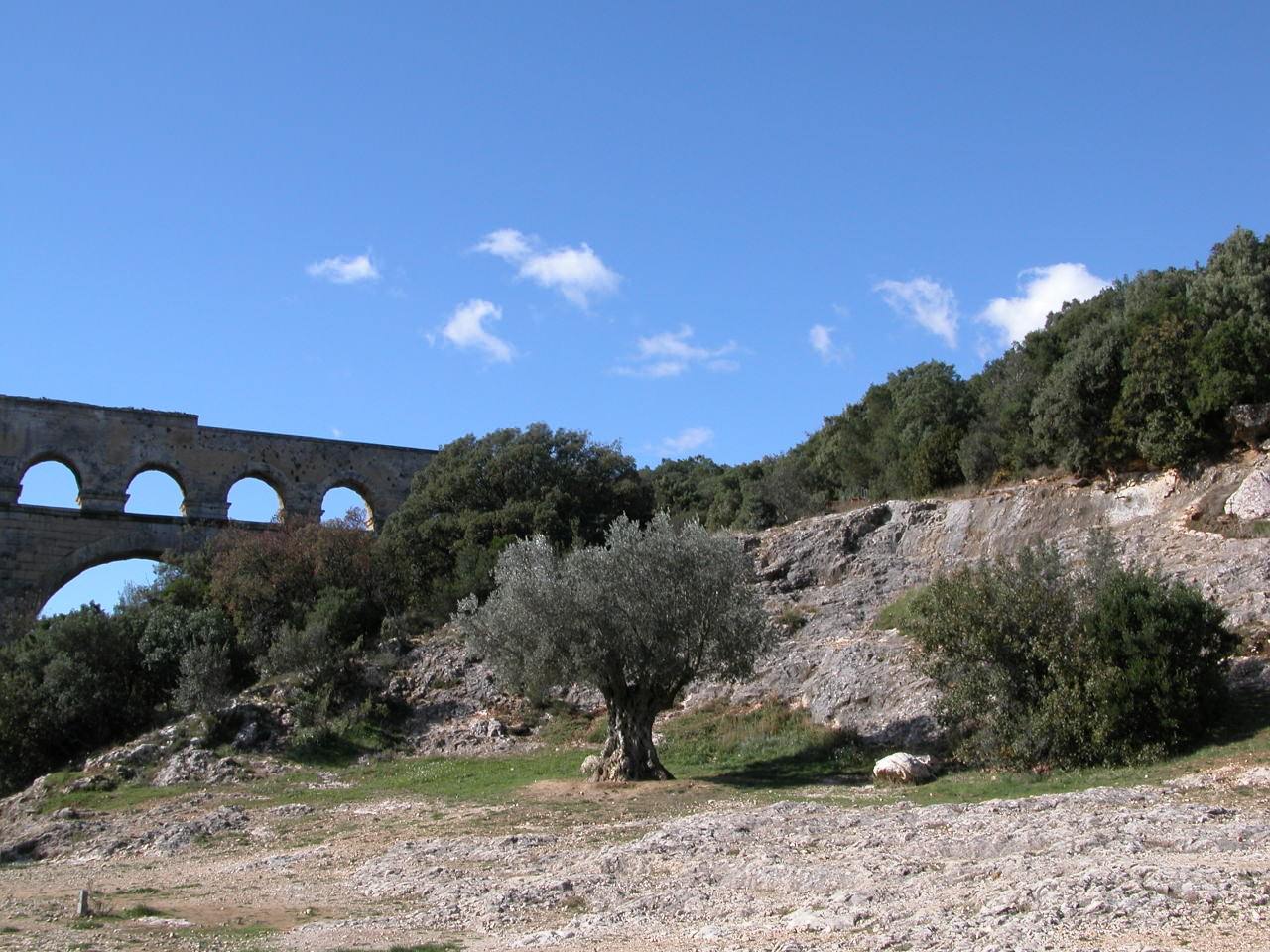 Ponts et Aqueducs Olivier du pont du Gard