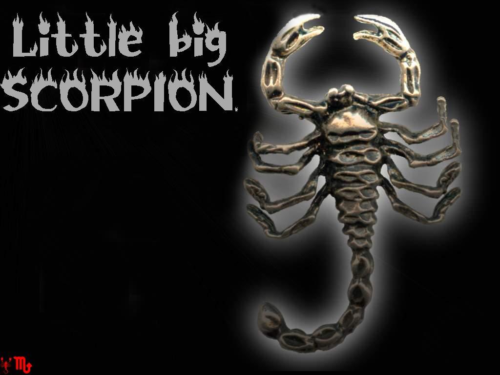 Scorpions little big scorp