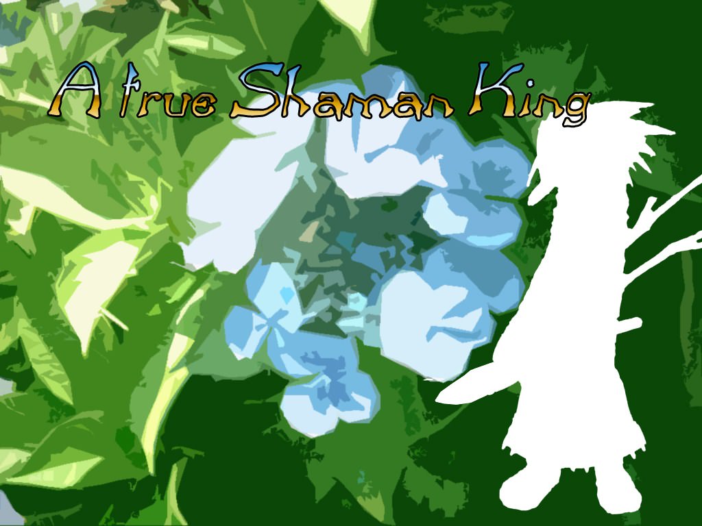Shaman King A True Shaman King