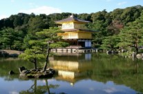 Japon Kinkakuji Temple / Golden Pavilion (Kyoto)