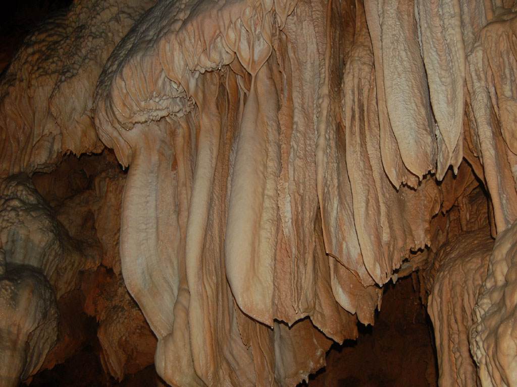 Cavernes et Grottes Oreilles d'éléphants