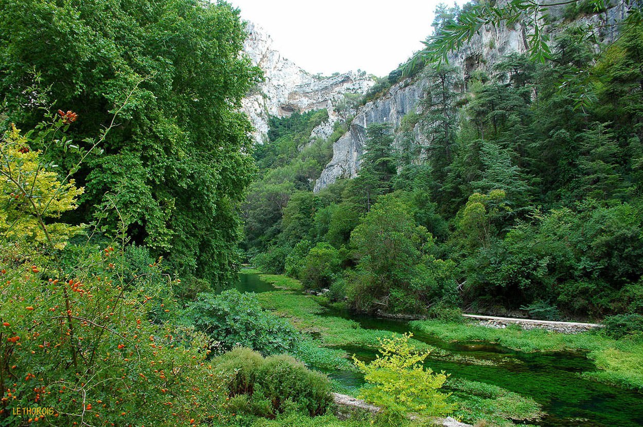 France Provence Alpes et Cote d Azur Plus Vert Que Vert