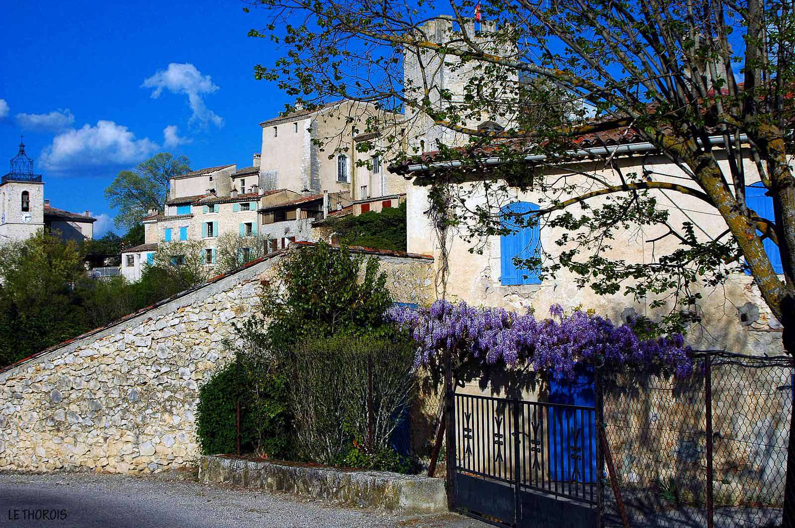 France Provence Alpes et Cote d Azur Glycine