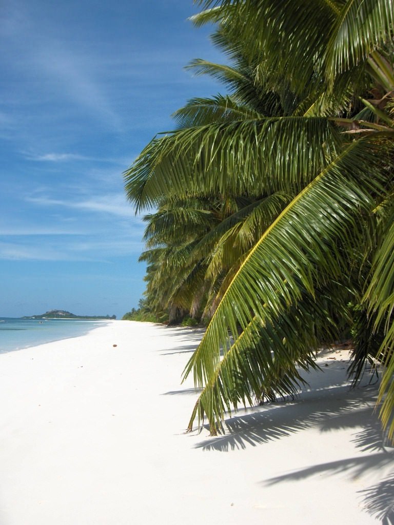 Les Seychelles Grand Anse
