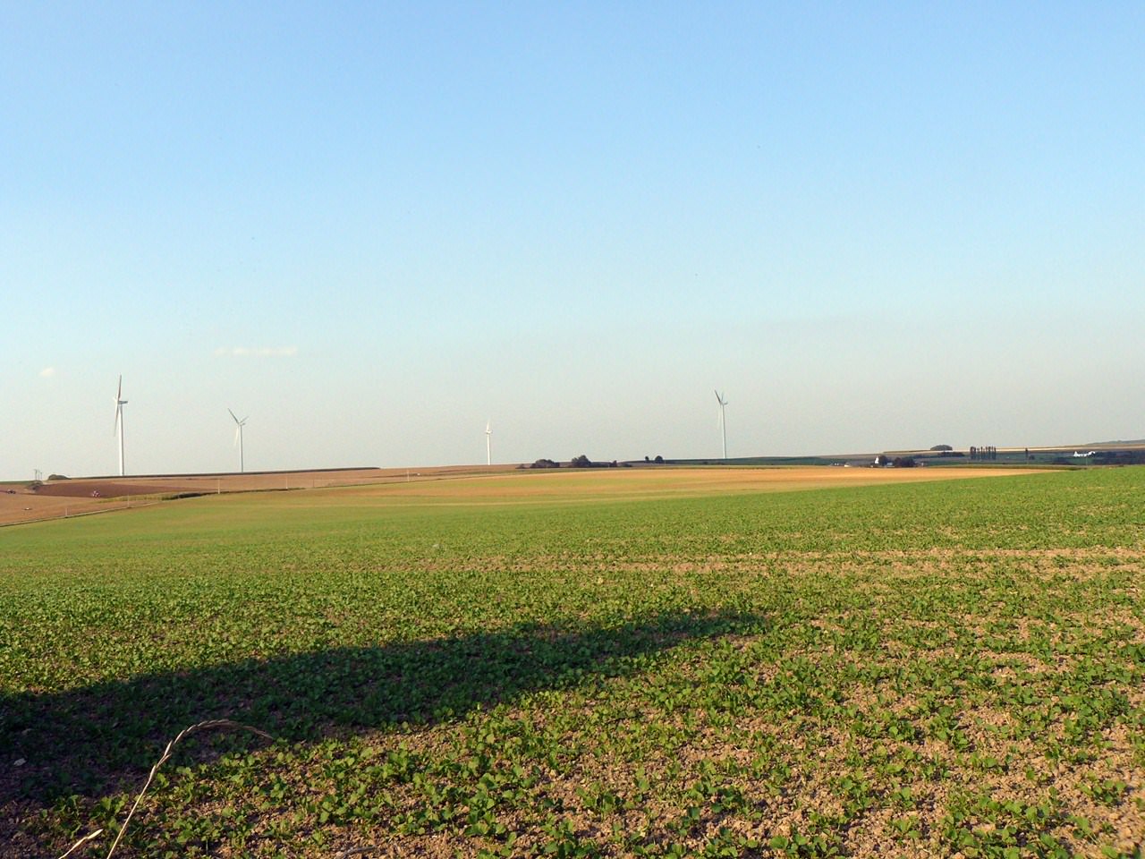 Moulins et Eoliennes champs, éoliennes