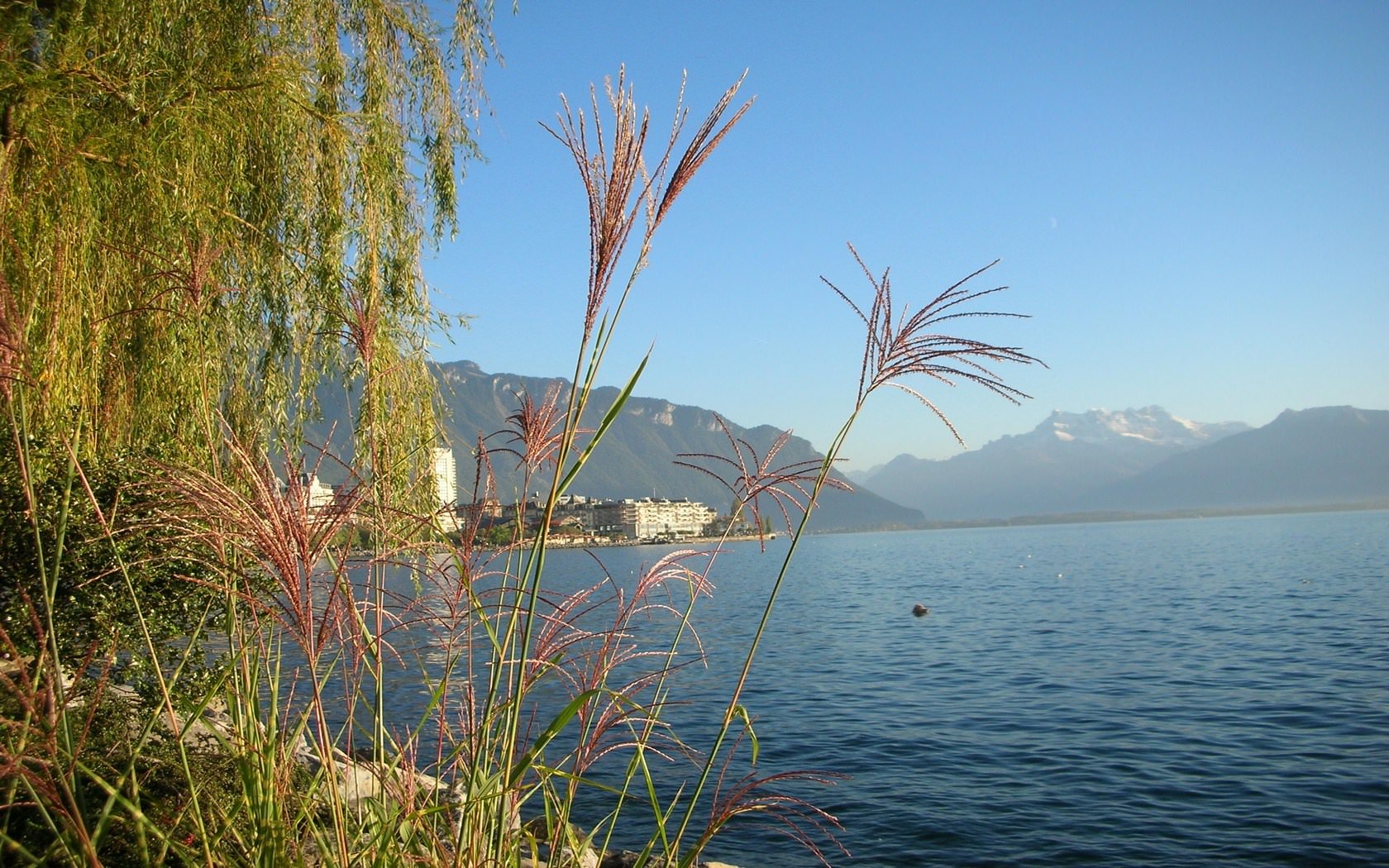 Suisse Le lac Léman vu de Montreux
