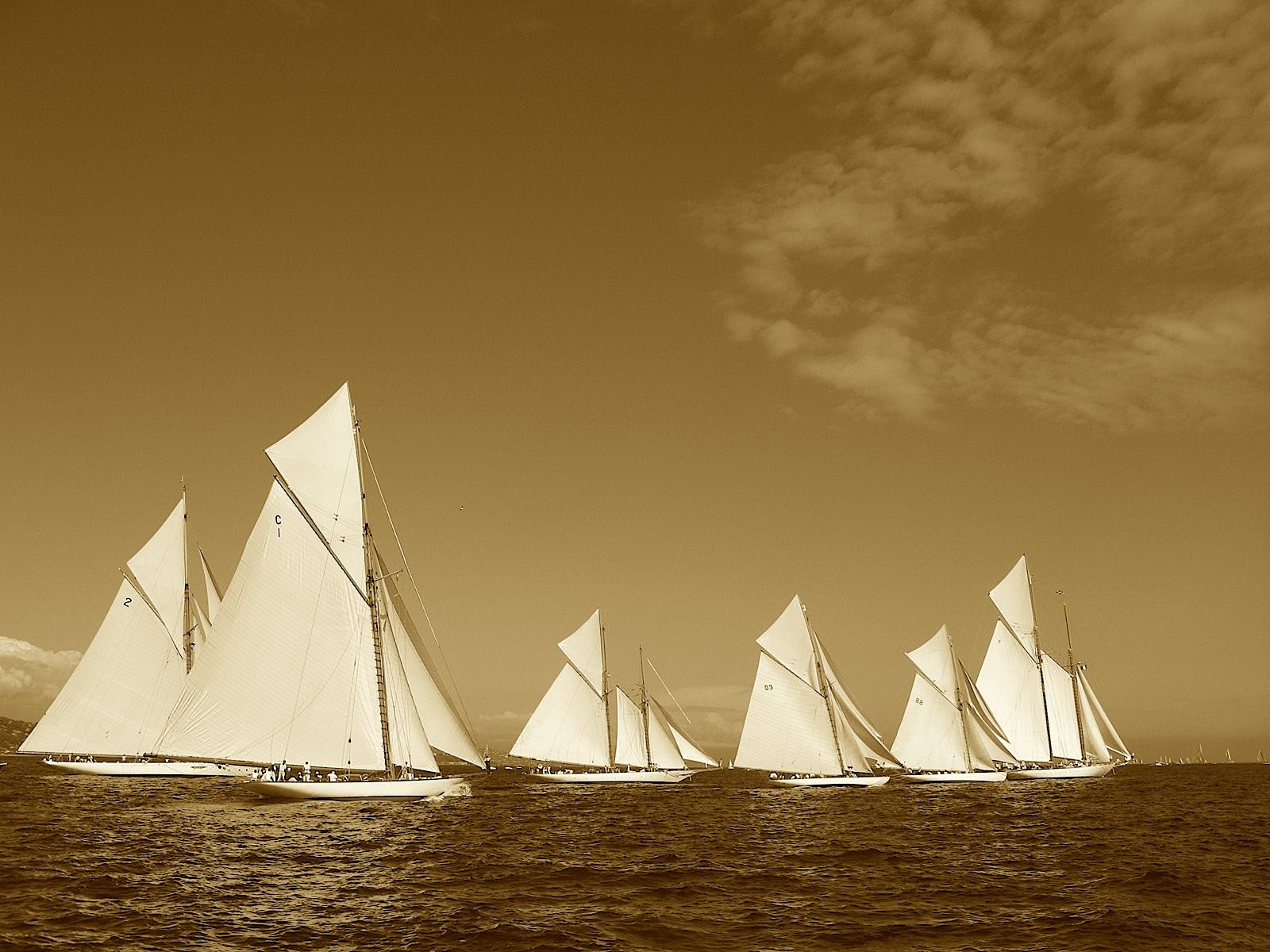 Voiliers Armada de voiles auriques à Saint-Tropez