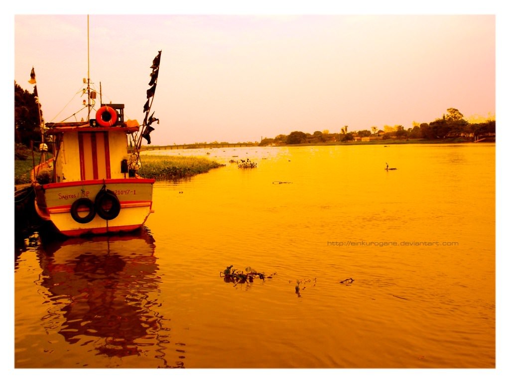 Bateaux de peche Boat