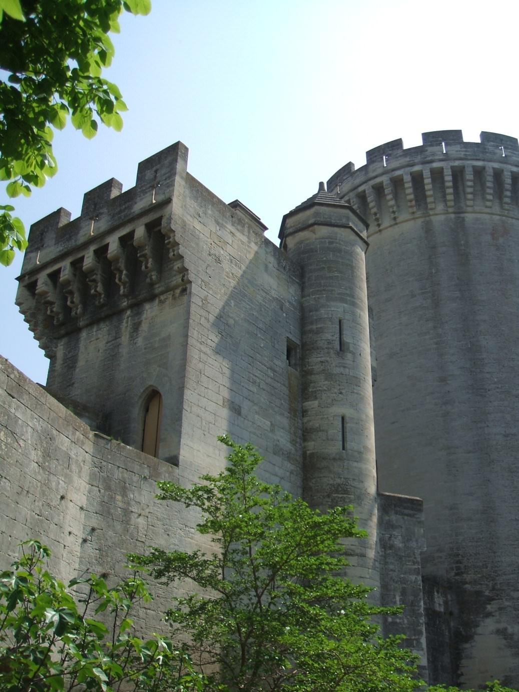 Chateaux et Palais Château de Tarascon