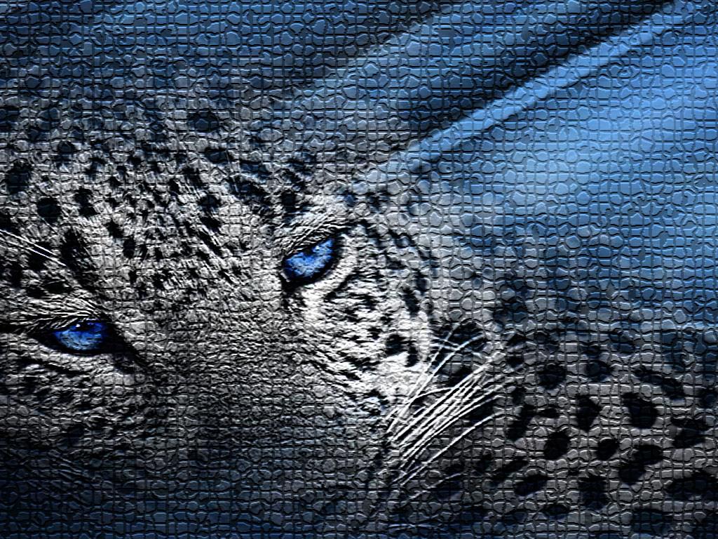 Leopards leopard