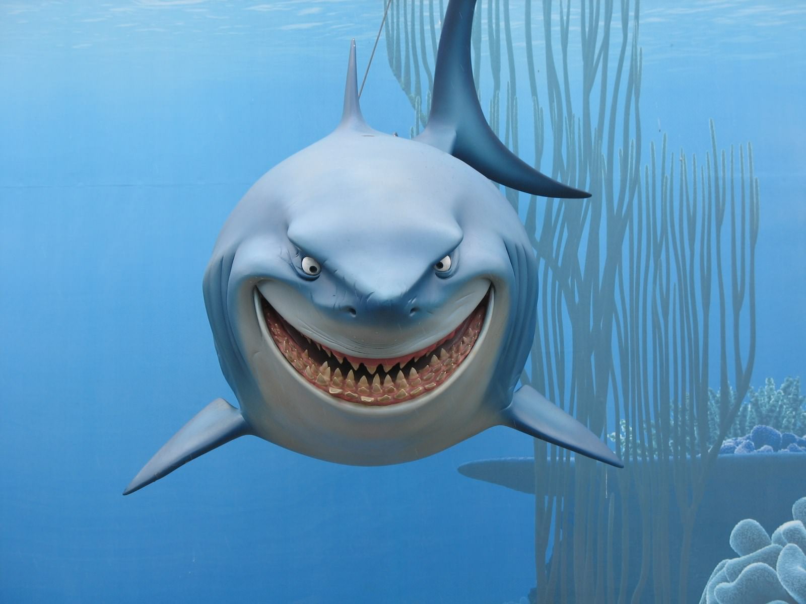 Gang de Requins LE REQUIN (Le monde de Némo - Disney)