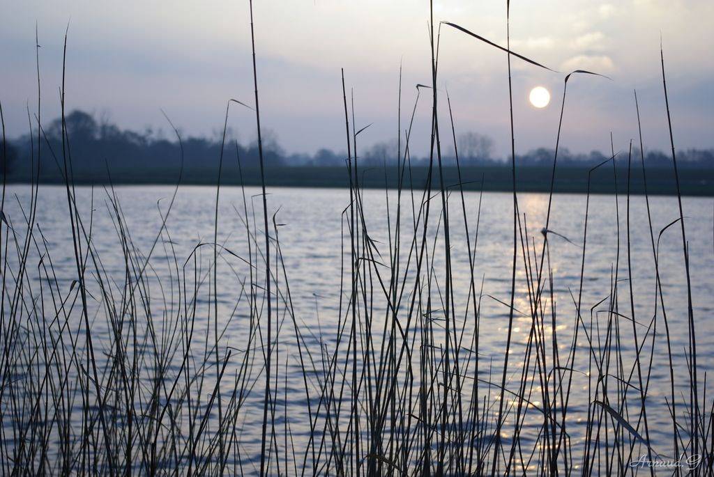 Lacs et Etangs Lever du soleil en hivers