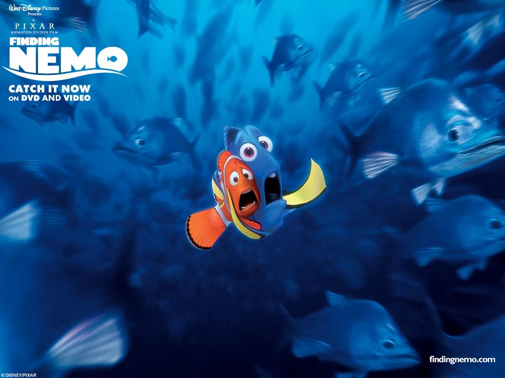 Le Monde de Nemo Wallpaper N°186289