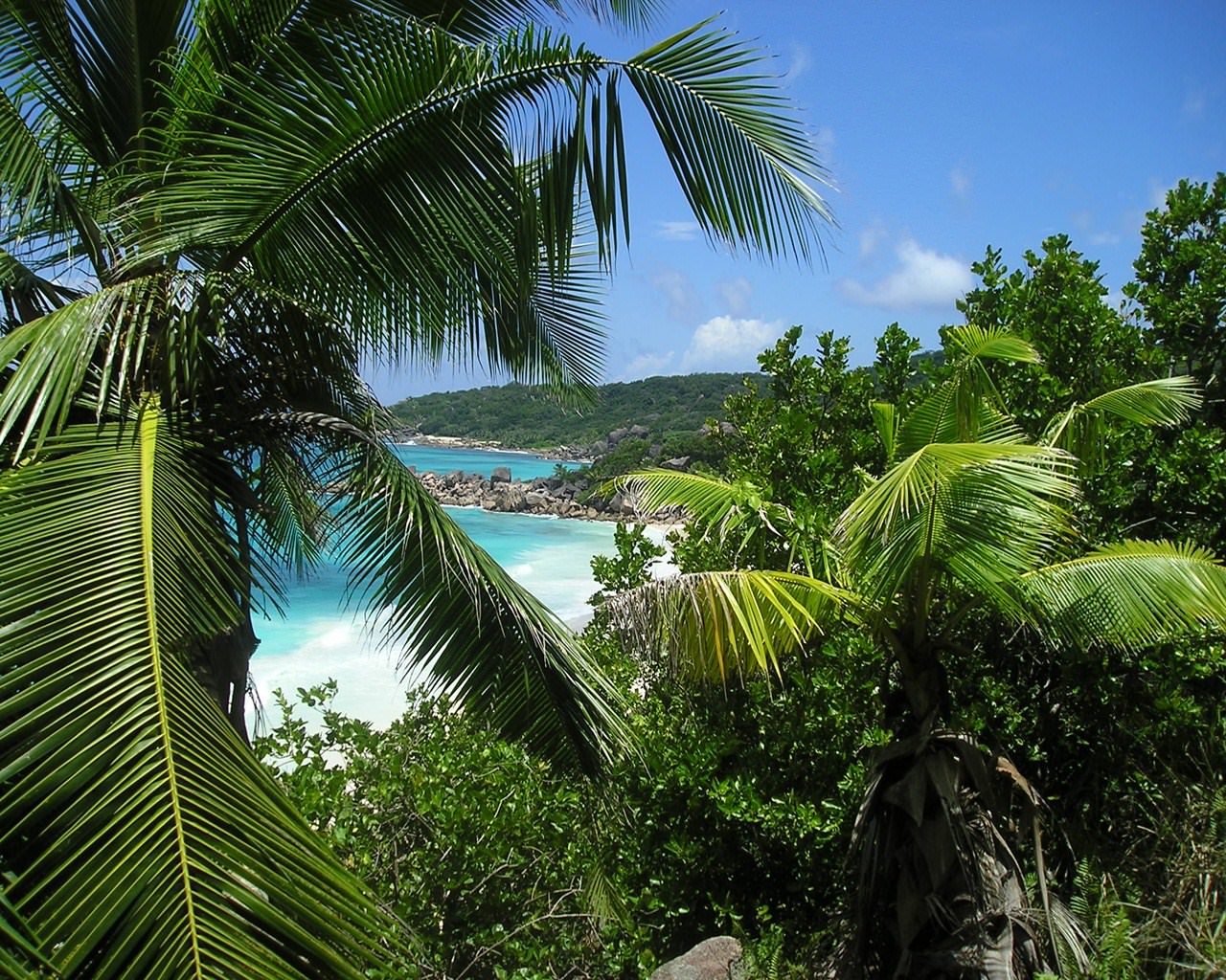Les Seychelles Entre Anse cocos et grand anse
