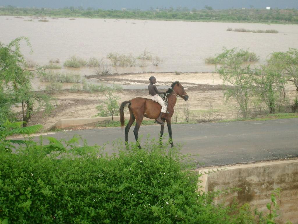 Senegal Jeune garçon à cheval, Yene, Sénégal