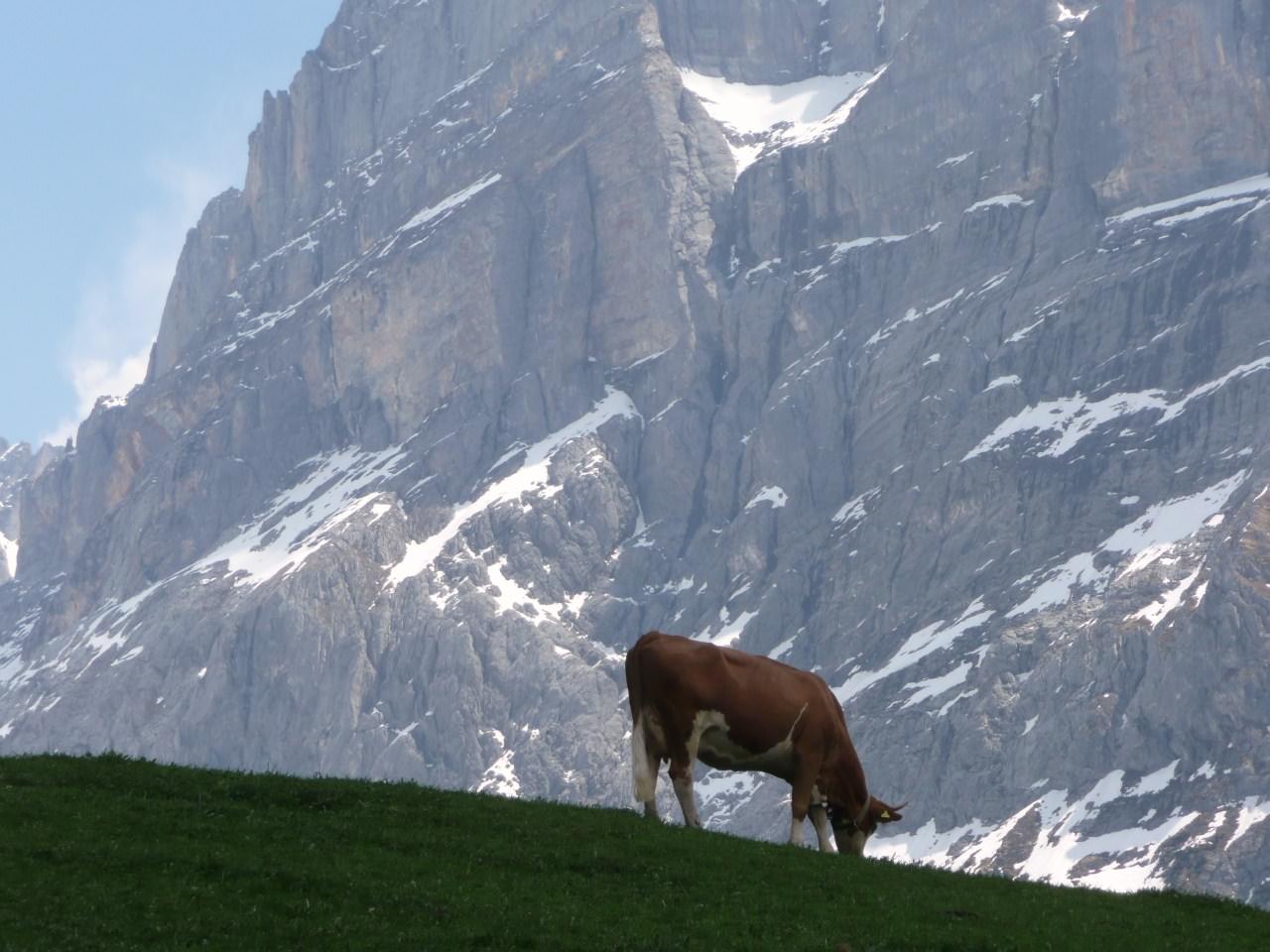 Suisse vallée de Grindelwald