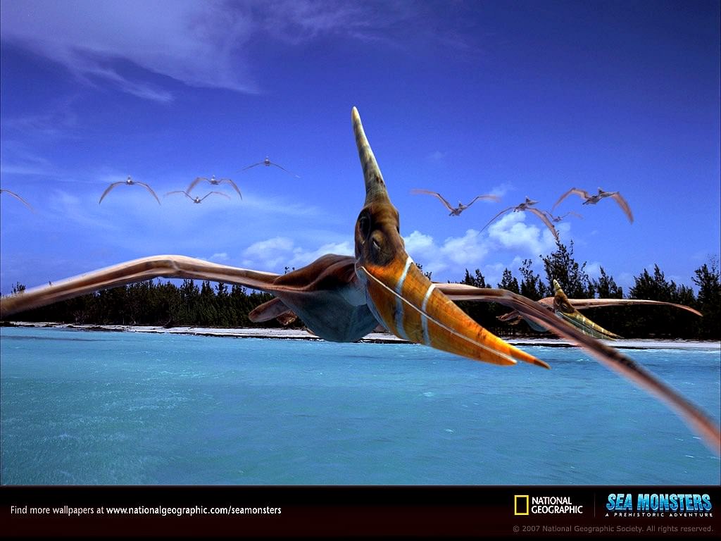 Divers pteranodon