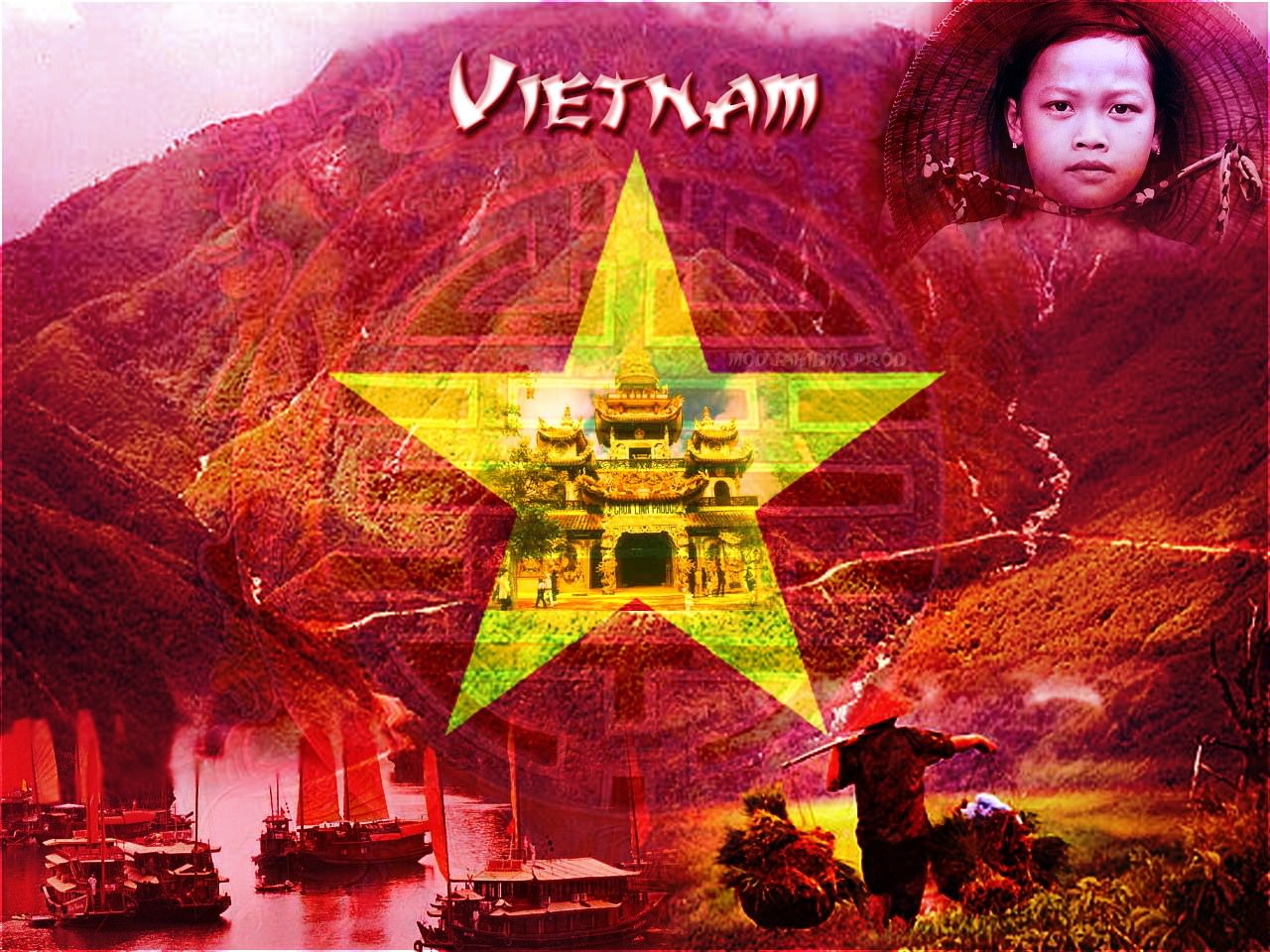 Vietnam vietnam