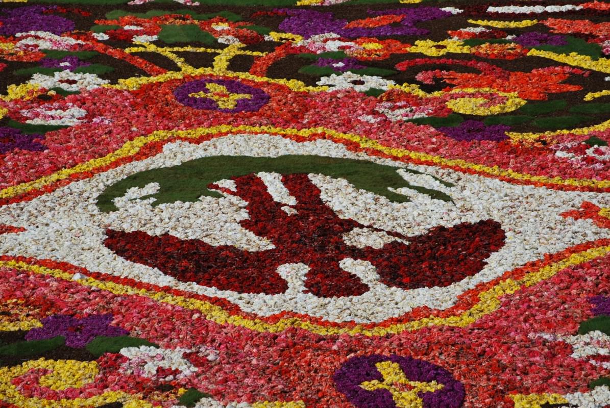 Belgique un motif du tapis de fleurs à Bruxelles
