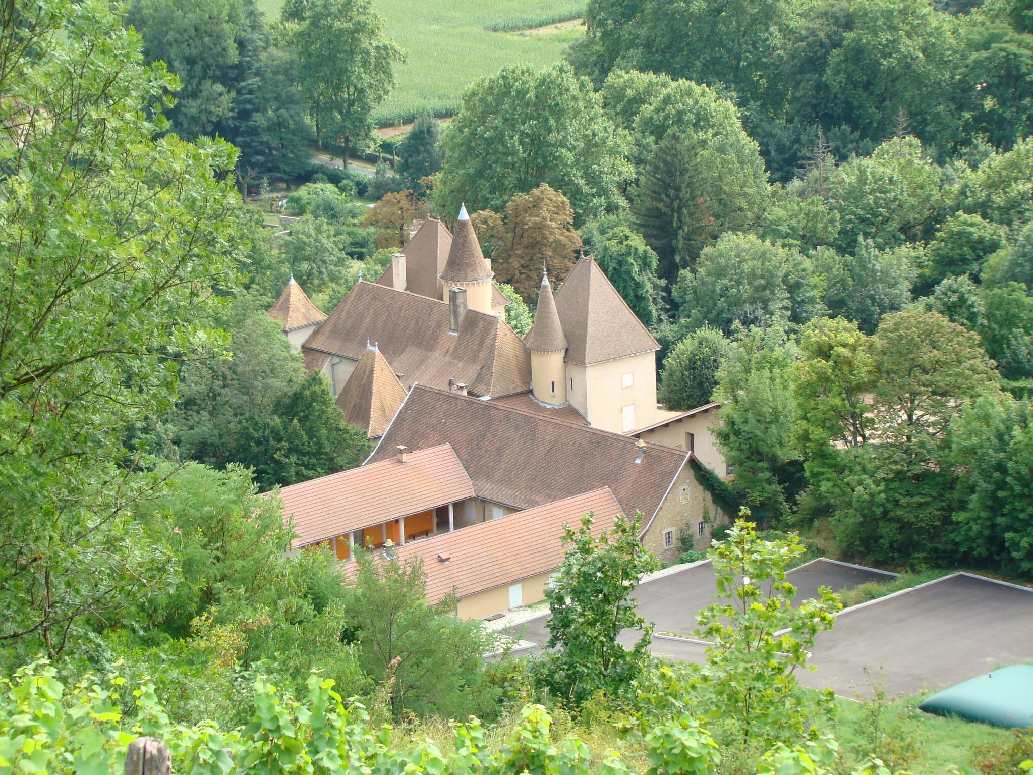 Chateaux et Palais Château de Saint Sorlin en Bugey (AIN)
