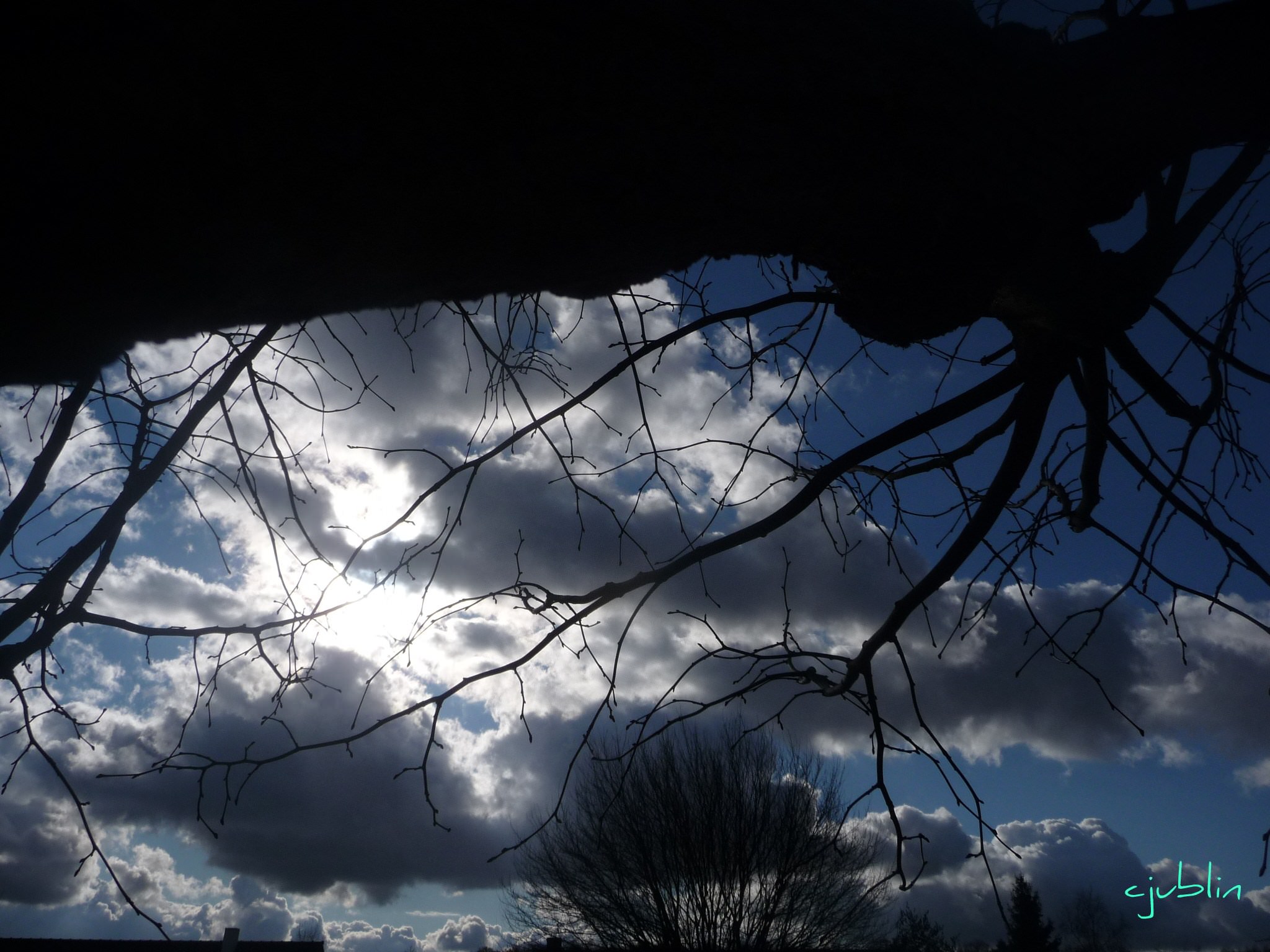 Ciel et Nuages des branches très nuageuses 