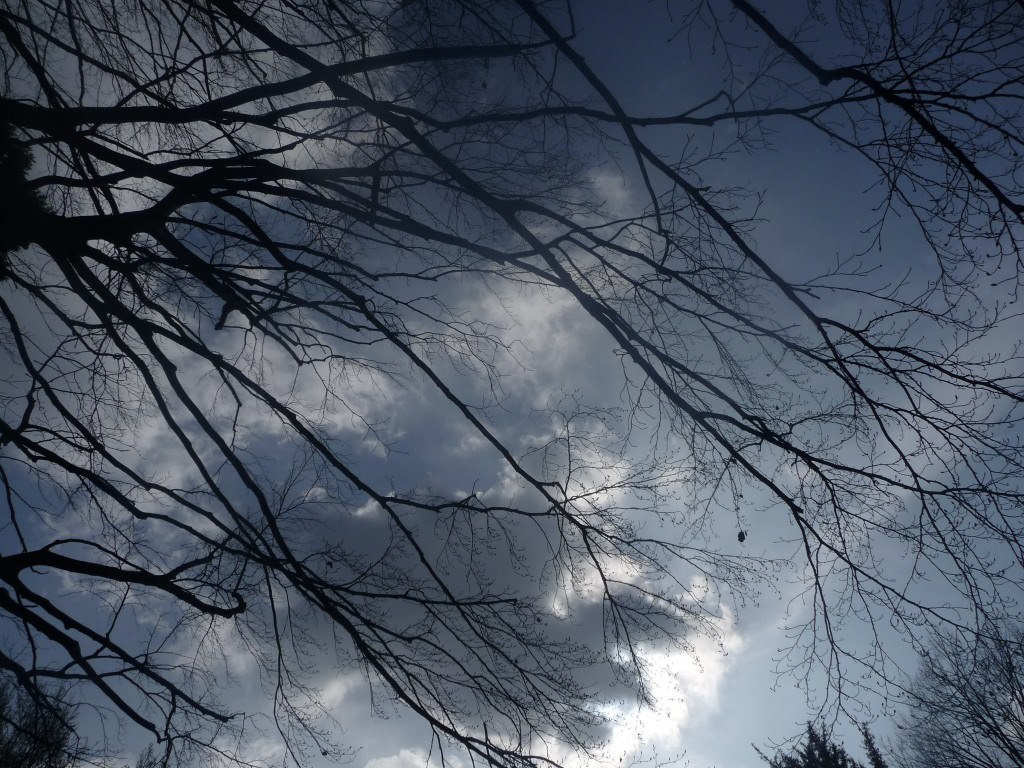 Ciel et Nuages des nuages et des arbres
