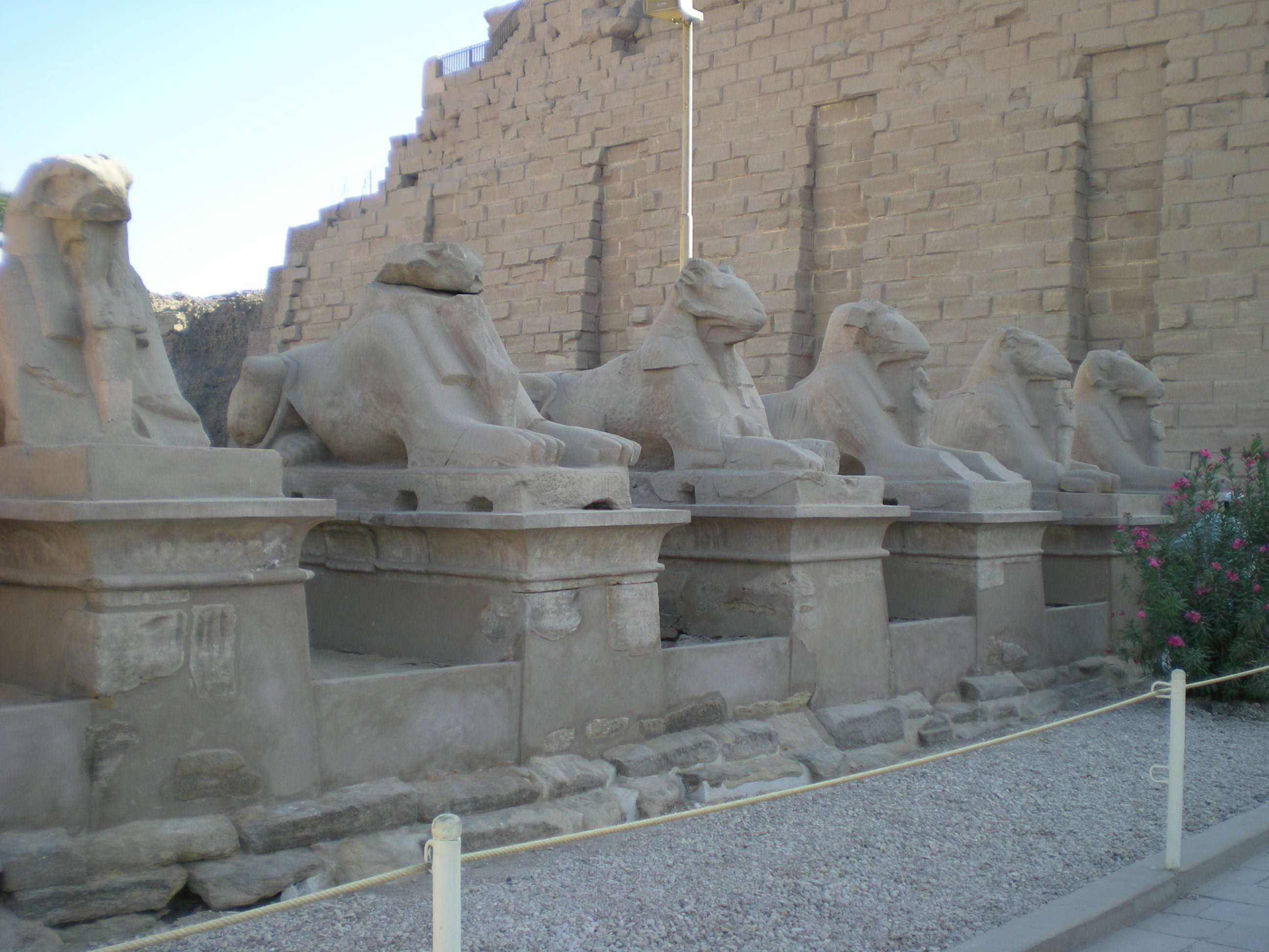 Egypte Allée de lion a tête de chèvre