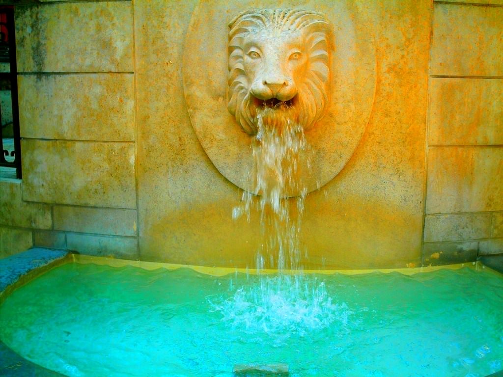 Fontaines et Jets d eau Head of the Lion - Auxerre