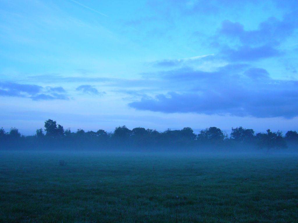 France Normandie brouillard matinal