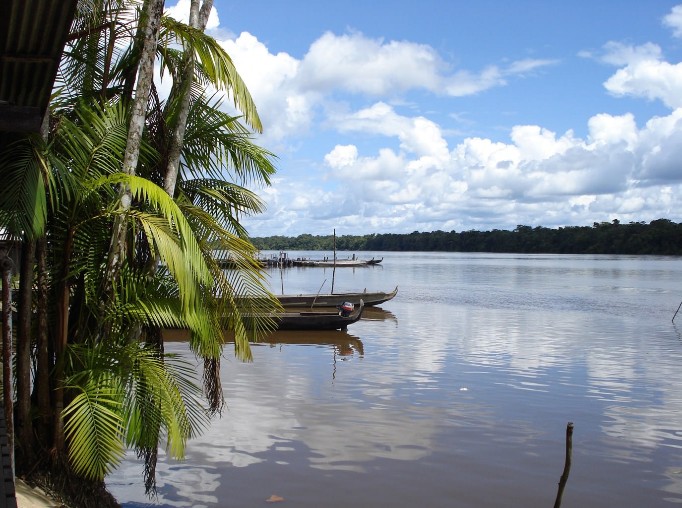 Guyane pirogues sur le Maroni