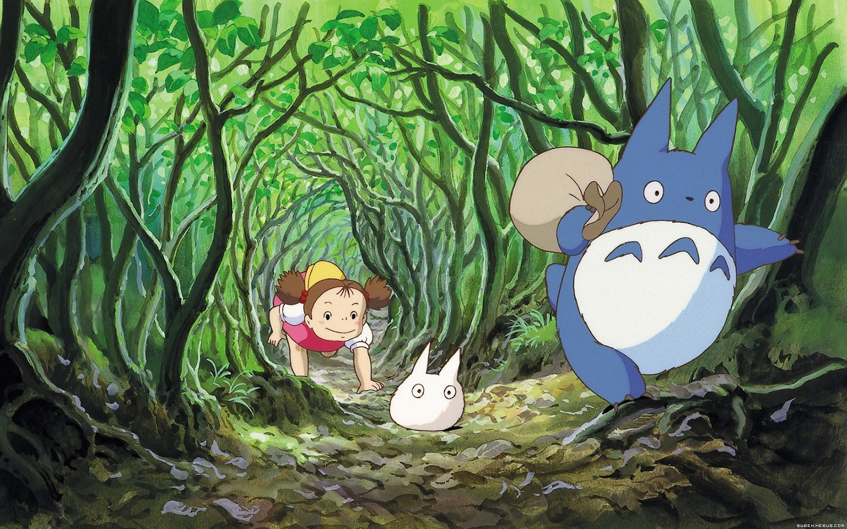 Mon Voisin Totoro Totoro