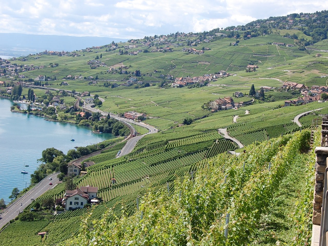 Suisse Vignoble au dessus du lac léman