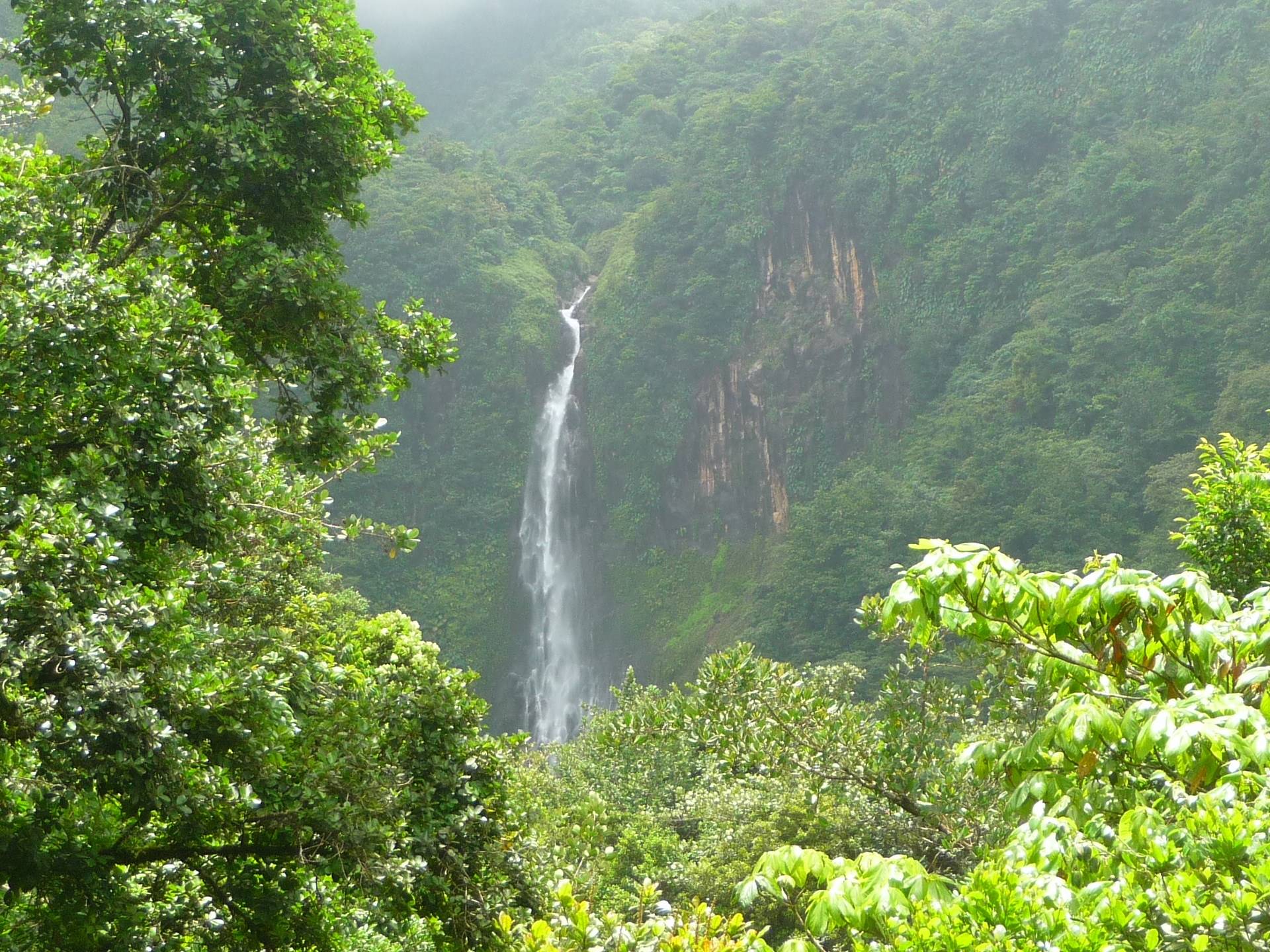 Cascades et Chutes Chute du Carbet ( Guadeloupe )