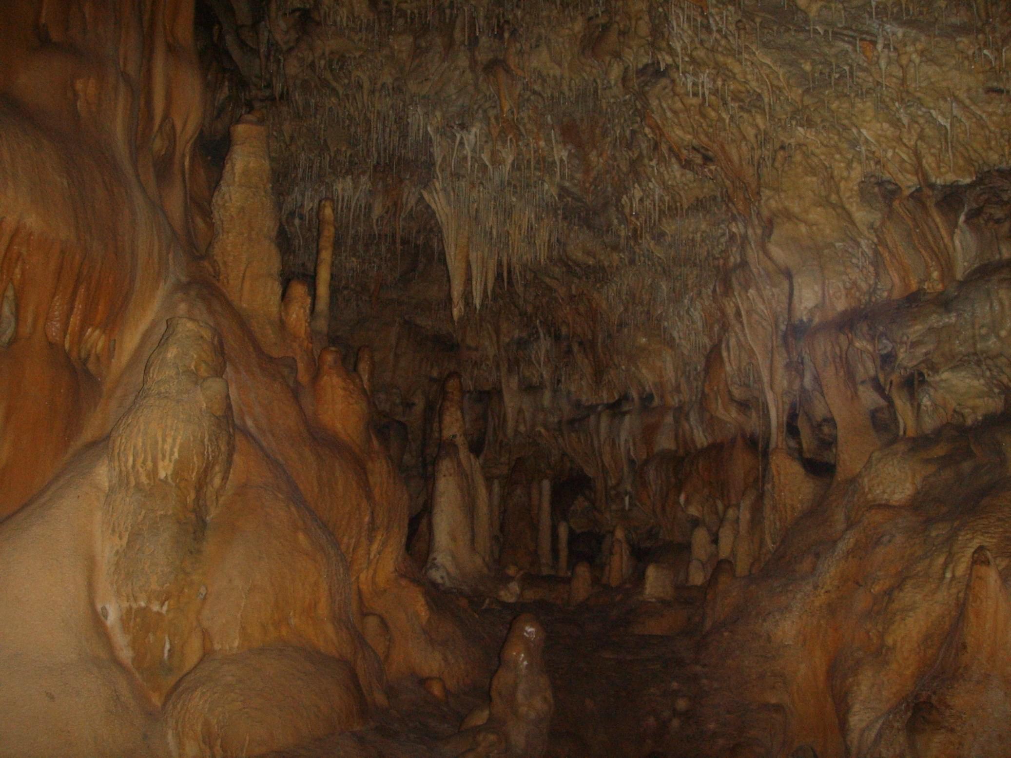 Cavernes et Grottes la grotte de l'ours