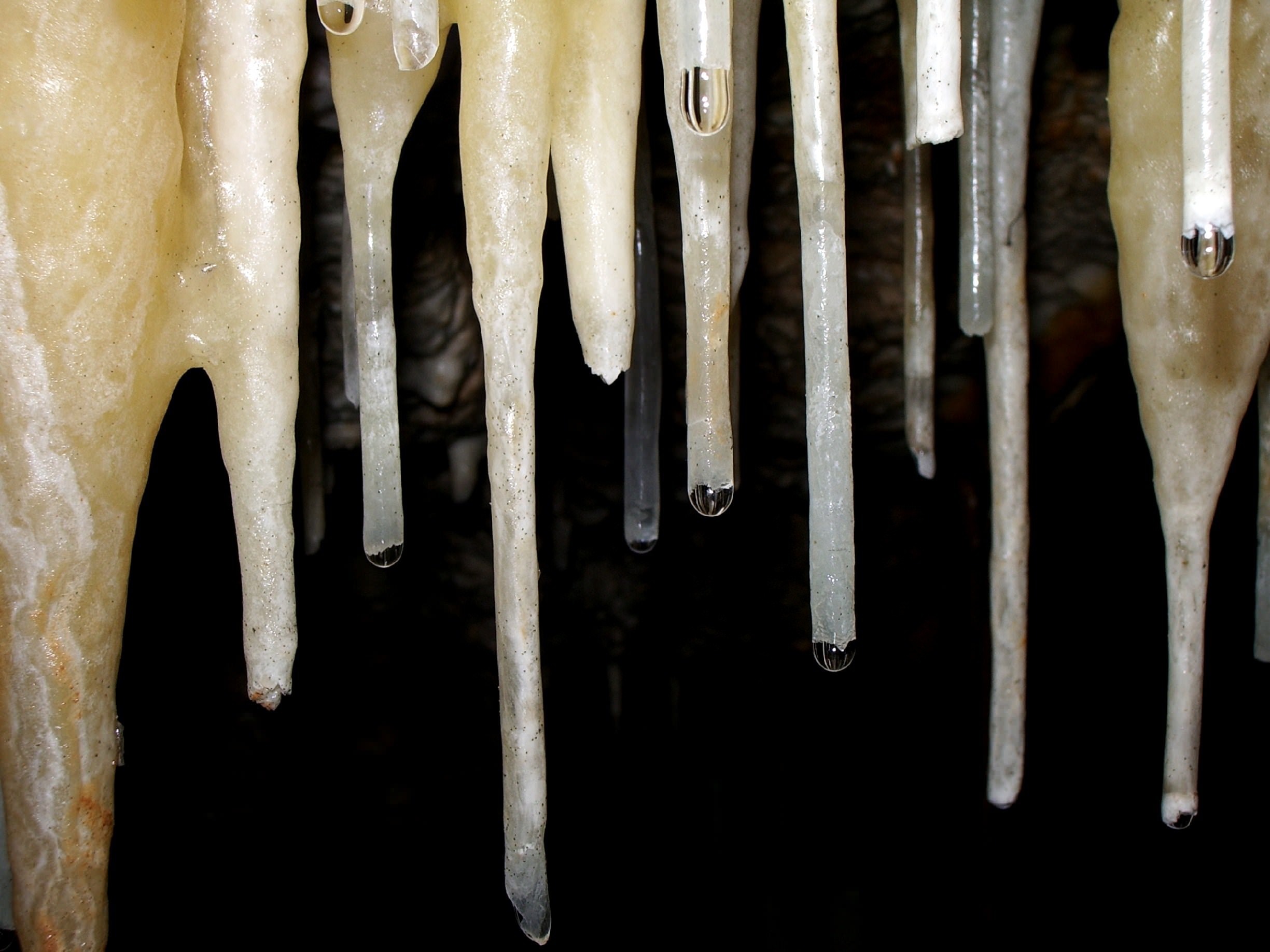Cavernes et Grottes stalactite